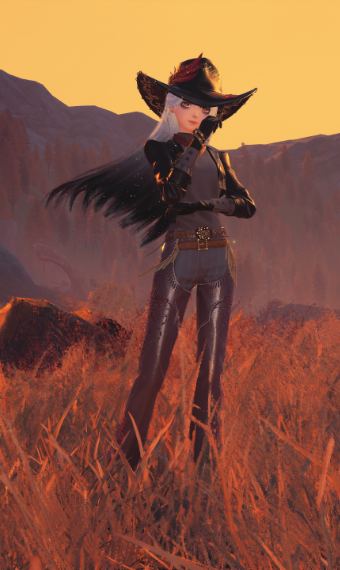 HSR | Boothill image