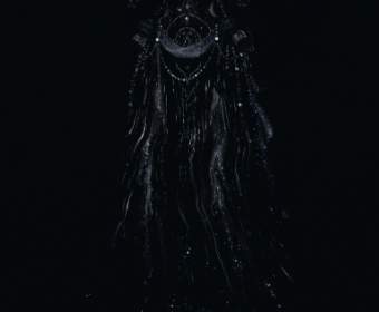 Second image