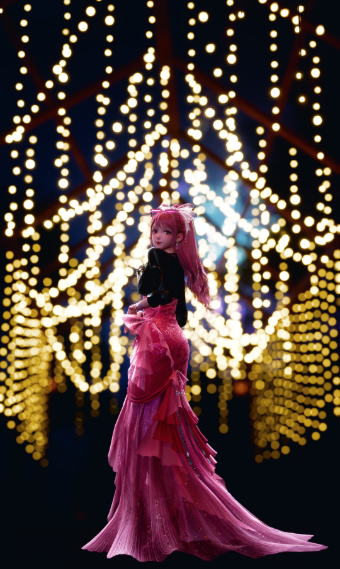 A Princess or A Popstar? image