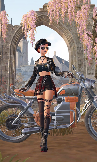 Born to be Wild image