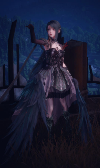 The Raven Heiress image