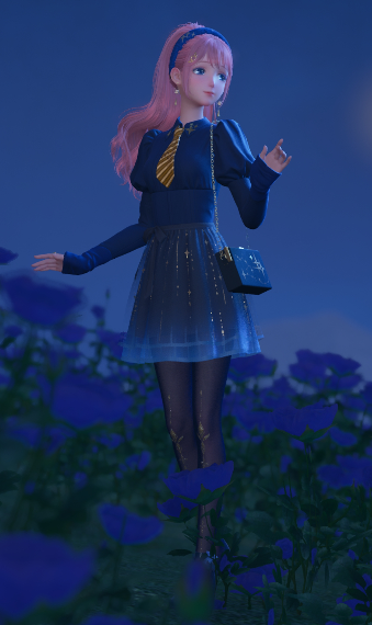 Starry Midnight image