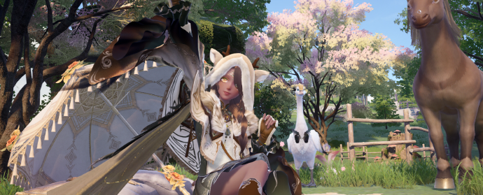 Third image