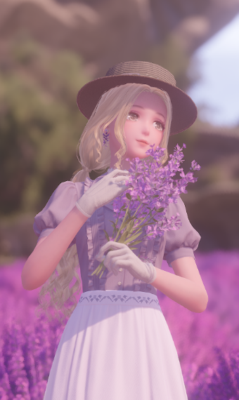 Sweet Lavander image