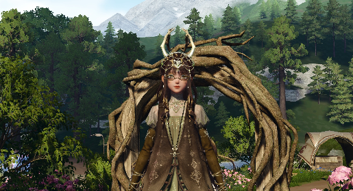look image