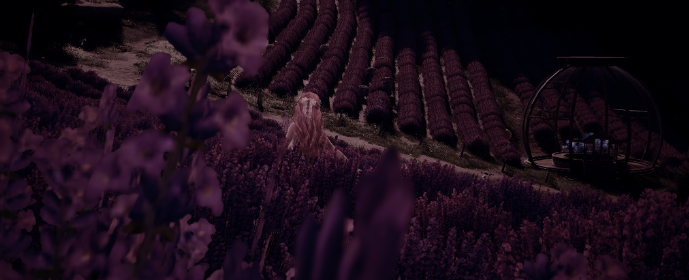 Third image
