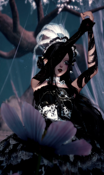 Black lace image