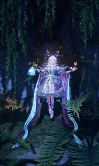 Enchanted Forest image