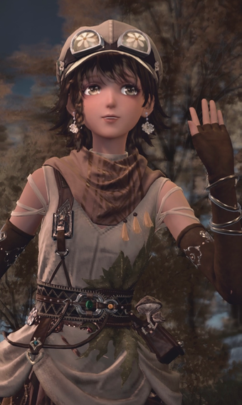 hello traveler image