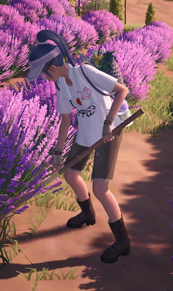 Tilling the Lavenfringe Fields image