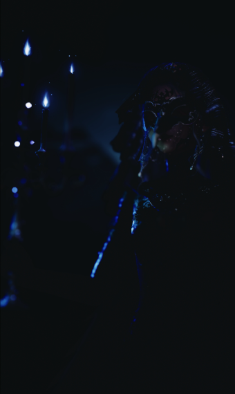 Raven image