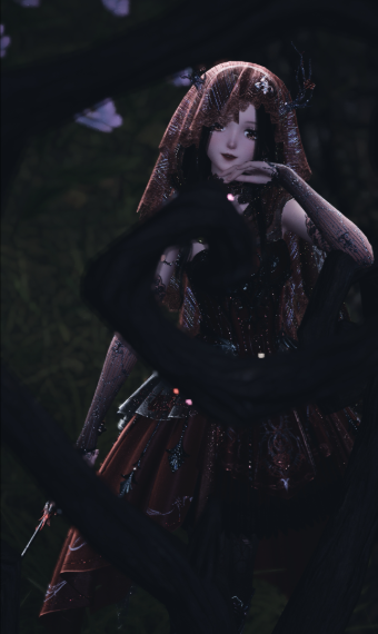 Red Riding Veil image