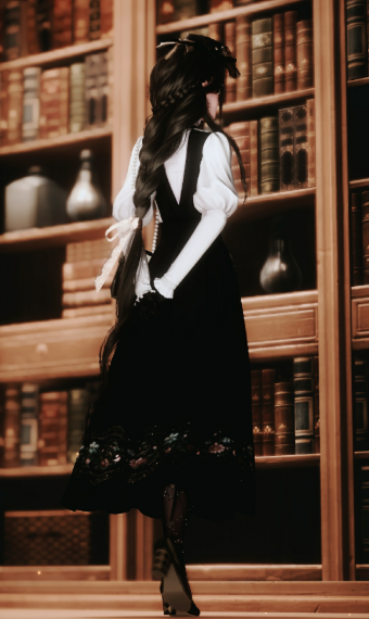 The Aristocrat image