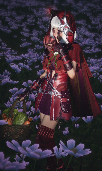 red hiding hood image