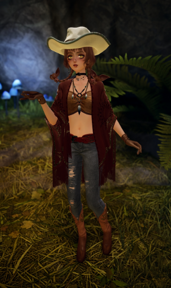 The Traveler image