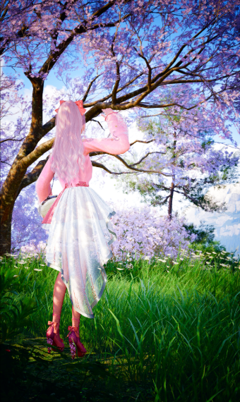 Look image