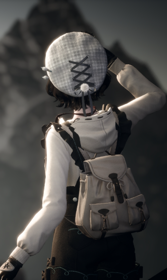 Curious Explorer image