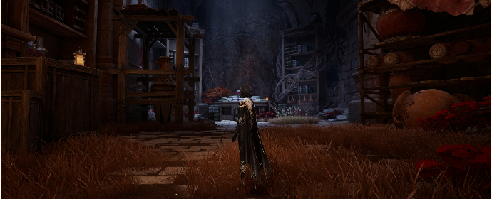 Third image