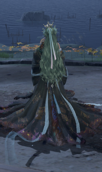 Look image