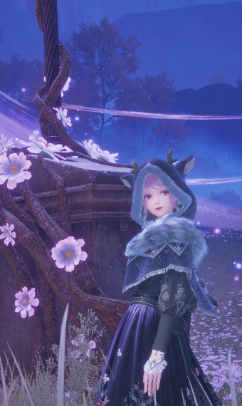 Little Dark Wolf Hood image