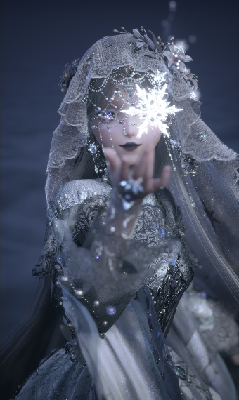 Winter Bride image