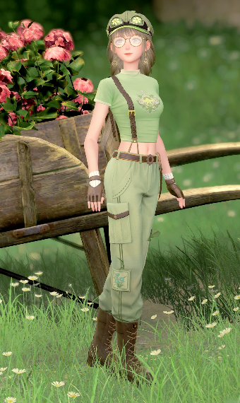 The Explorer image
