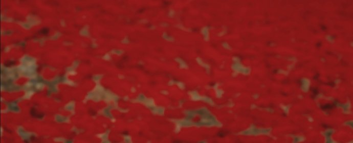 Third image