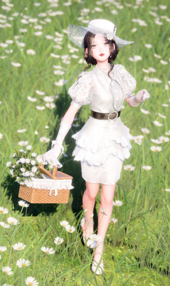 Country Club Picnic image