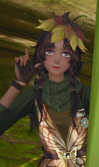 Forest Camouflage image