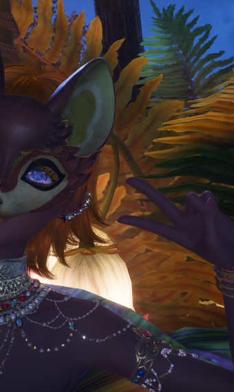 Foxyn' Traveler image