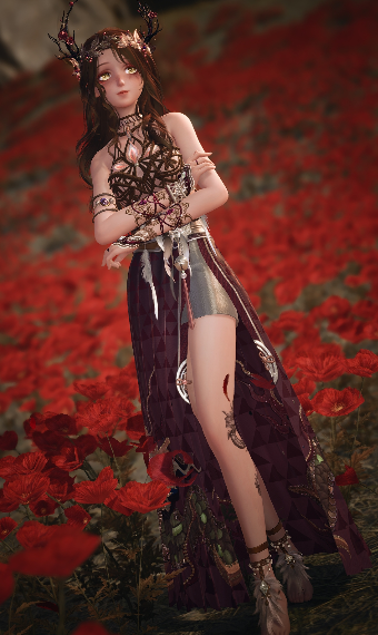 Fleeting Crown image