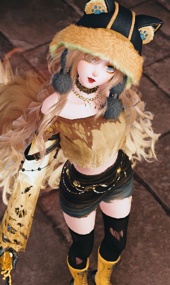 Cheetah Fox image