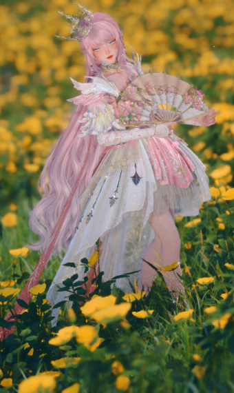 princess knight image