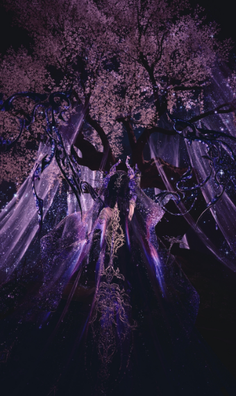 Star of Transience: Zephyr Wisteria image