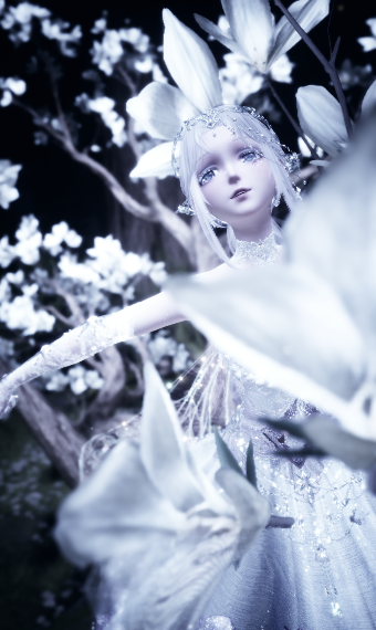 Aromalily image