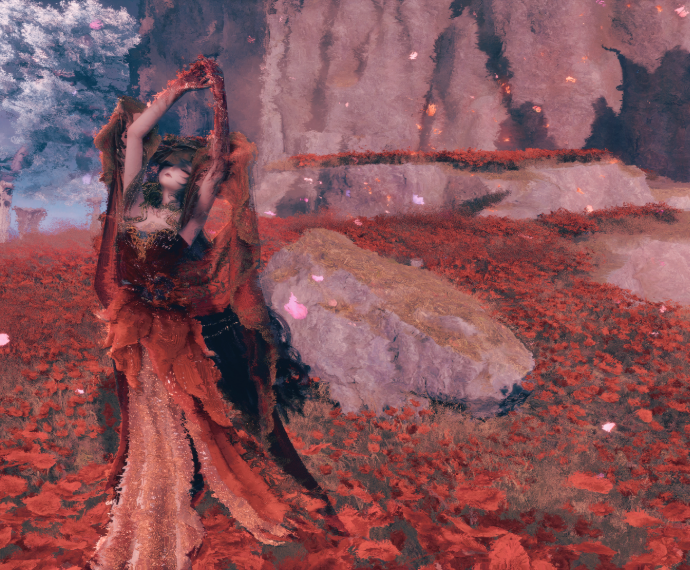 Look image