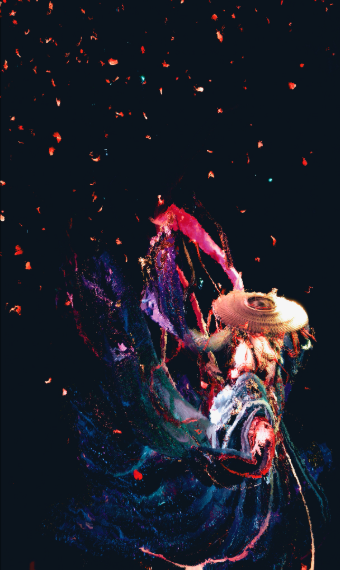 Crimson Echoes image