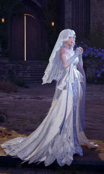 Beautiful Bride image