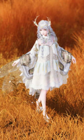 Moth image
