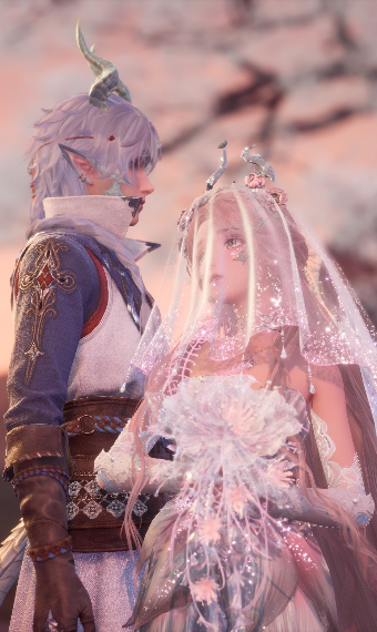 Meghill's Bride image
