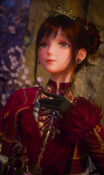 Knightly Princess image