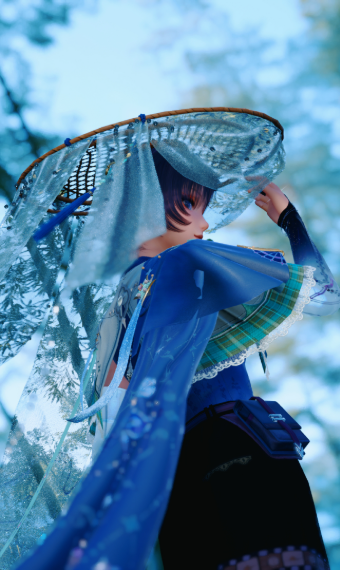 Wanderer fit image