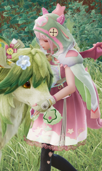Watermelon Dragon (grooming) image