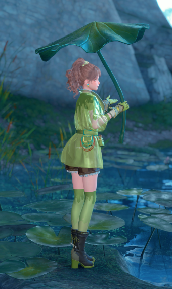 Frog Fanatic image