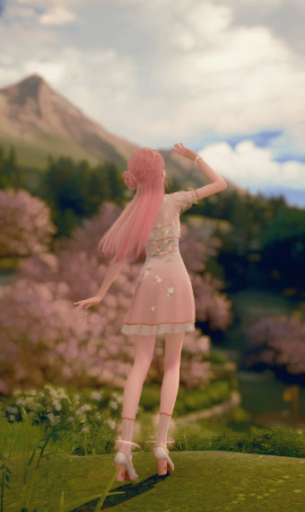 Cherry blossoms image