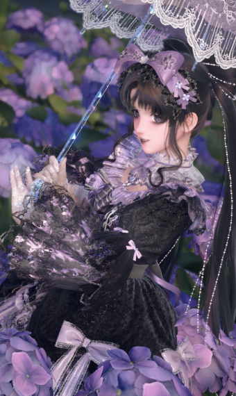 Hydrangeas Outing image