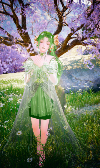 Skiploom 0188 image