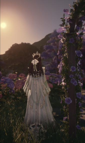 solace image