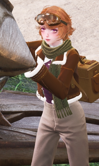 ornithopter pilot image