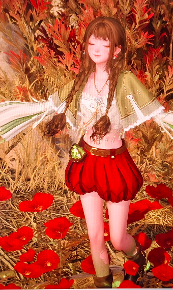 fashion terra image